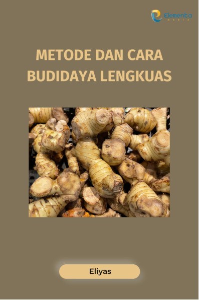 Metode dan Cara Budidaya Lengkuas